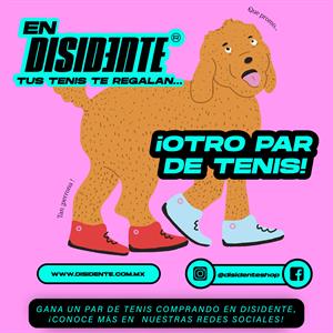 Disidente